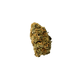 Khiron G 19/1 Gelato